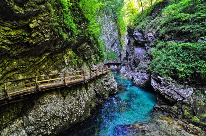 slovenya-gorulecek-yerler-vintgar-gorge-kanyonu
