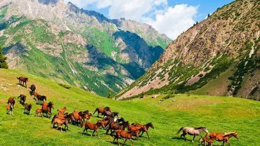 kırgızistan_hakkinda