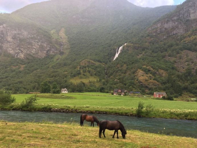 Flam-Köyü-Norveç